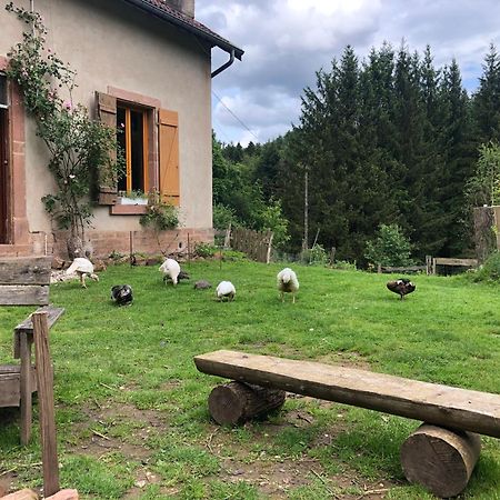 A l'orée de soi - Maison forestière de la Soie - Eco gîte, chambres d'hôtes, camping au pied des Vosges Saint-Sauveur  Extérieur photo