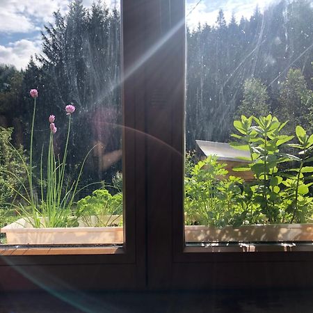 A l'orée de soi - Maison forestière de la Soie - Eco gîte, chambres d'hôtes, camping au pied des Vosges Saint-Sauveur  Extérieur photo