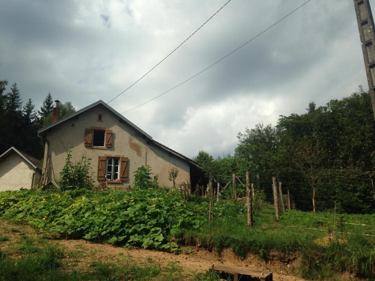 A l'orée de soi - Maison forestière de la Soie - Eco gîte, chambres d'hôtes, camping au pied des Vosges Saint-Sauveur  Extérieur photo