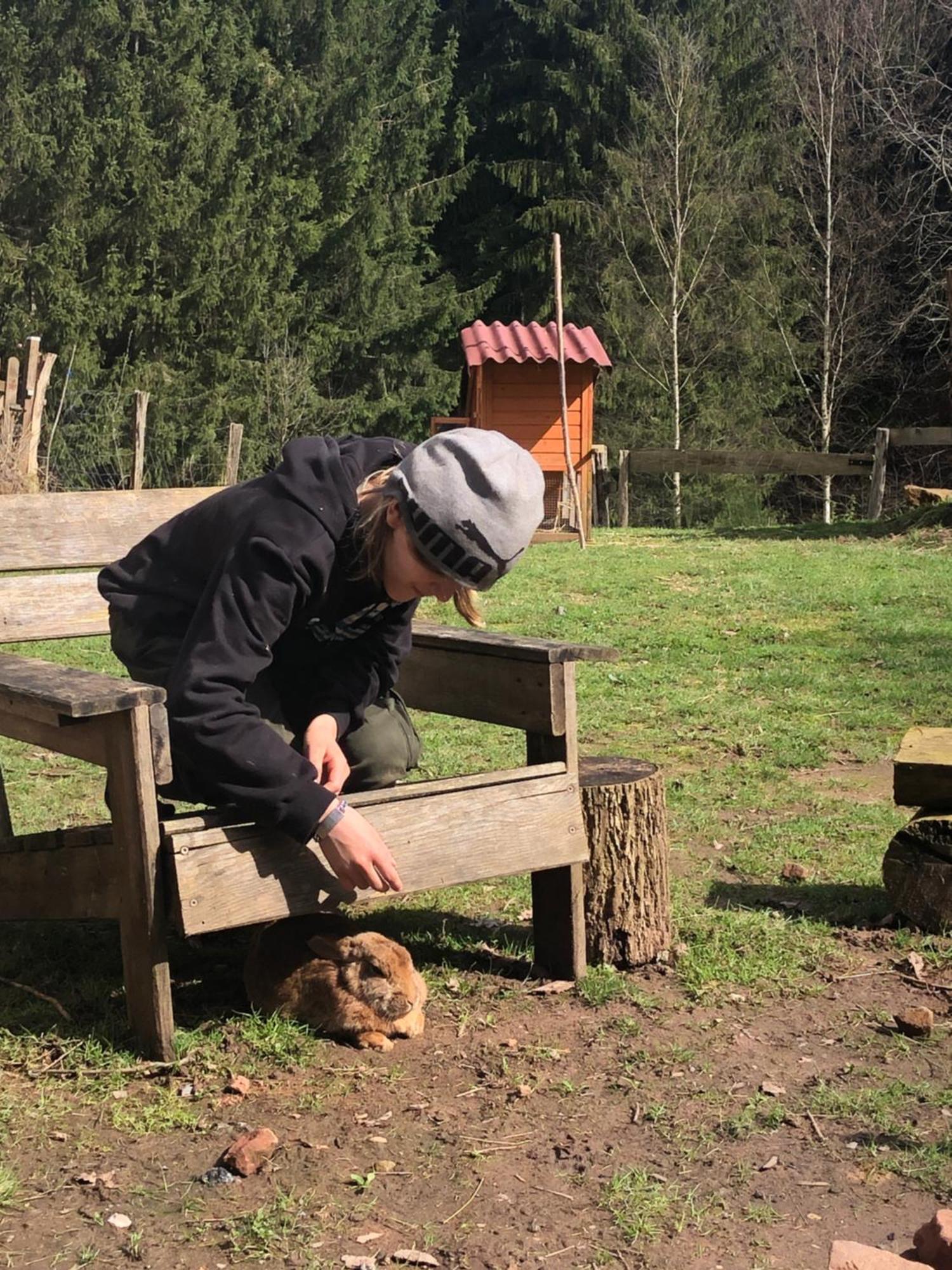 A l'orée de soi - Maison forestière de la Soie - Eco gîte, chambres d'hôtes, camping au pied des Vosges Saint-Sauveur  Extérieur photo