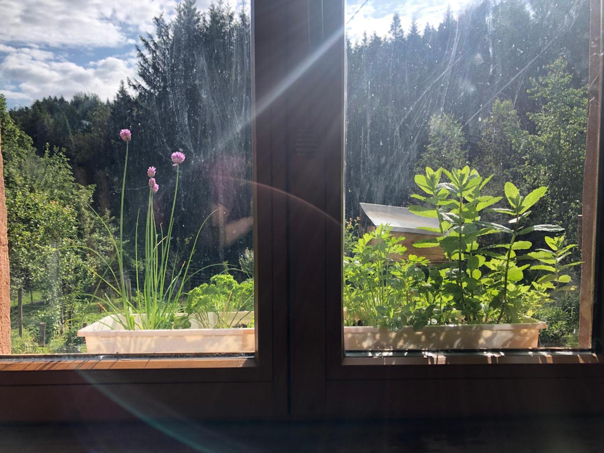 A l'orée de soi - Maison forestière de la Soie - Eco gîte, chambres d'hôtes, camping au pied des Vosges Saint-Sauveur  Extérieur photo