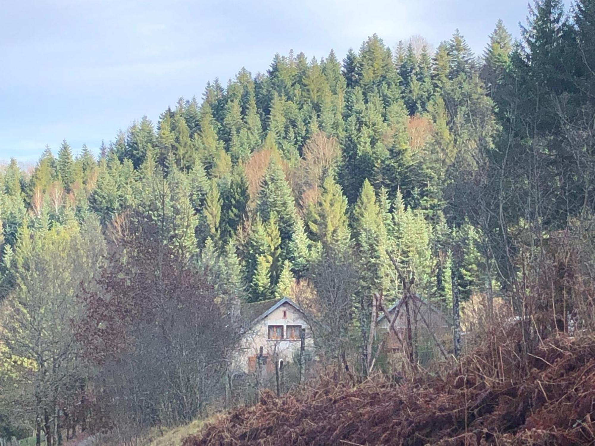 A l'orée de soi - Maison forestière de la Soie - Eco gîte, chambres d'hôtes, camping au pied des Vosges Saint-Sauveur  Extérieur photo