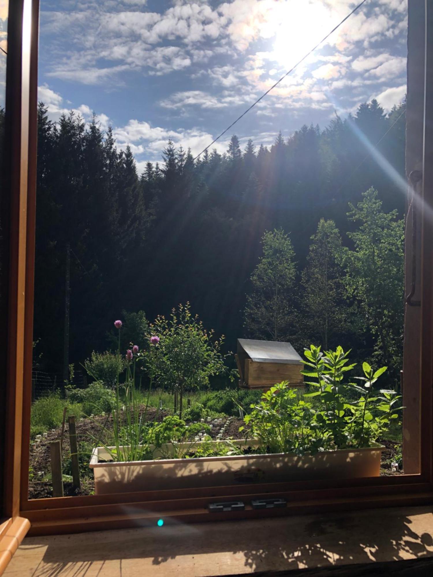 A l'orée de soi - Maison forestière de la Soie - Eco gîte, chambres d'hôtes, camping au pied des Vosges Saint-Sauveur  Extérieur photo