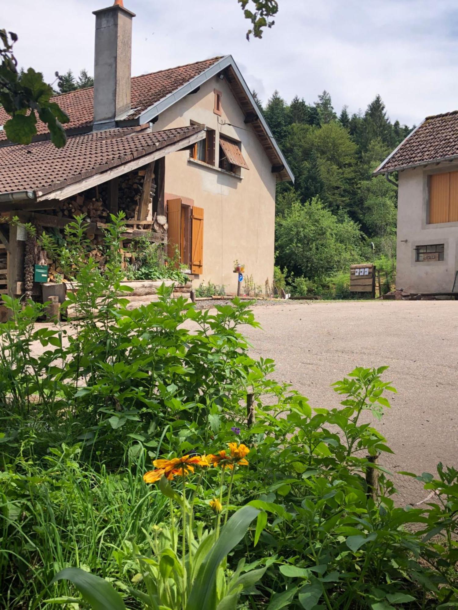 A l'orée de soi - Maison forestière de la Soie - Eco gîte, chambres d'hôtes, camping au pied des Vosges Saint-Sauveur  Extérieur photo