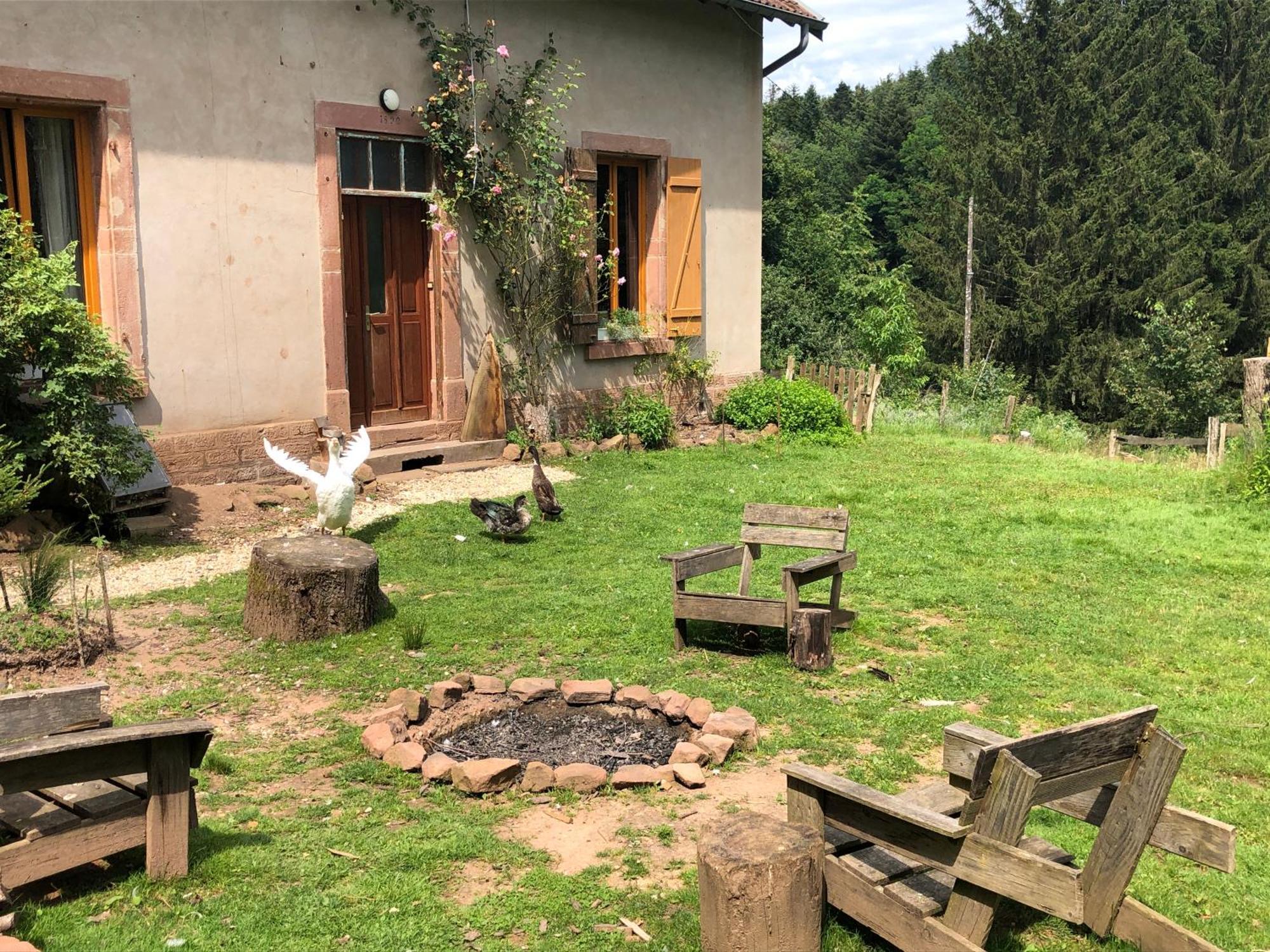 A l'orée de soi - Maison forestière de la Soie - Eco gîte, chambres d'hôtes, camping au pied des Vosges Saint-Sauveur  Extérieur photo