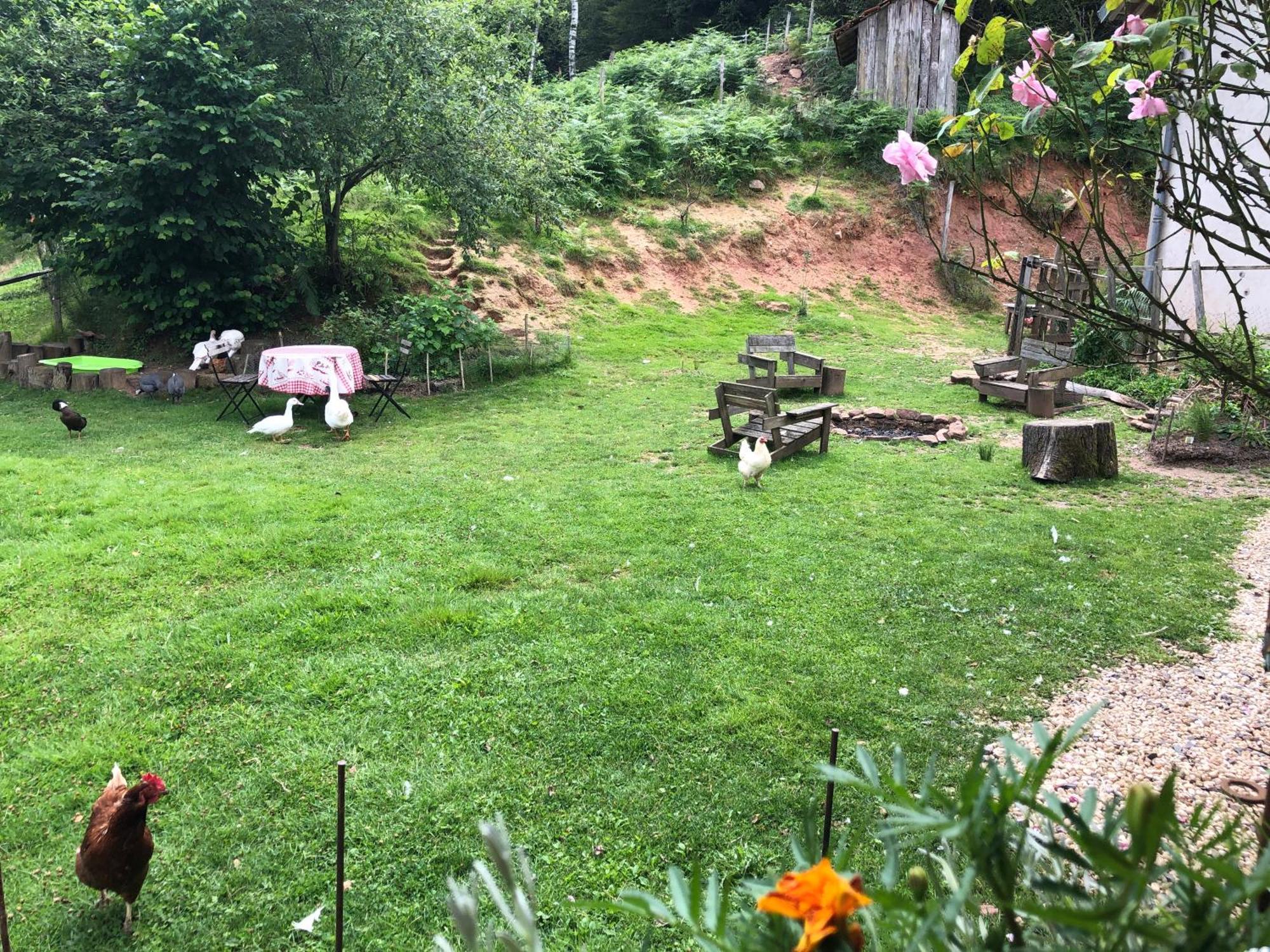 A l'orée de soi - Maison forestière de la Soie - Eco gîte, chambres d'hôtes, camping au pied des Vosges Saint-Sauveur  Extérieur photo